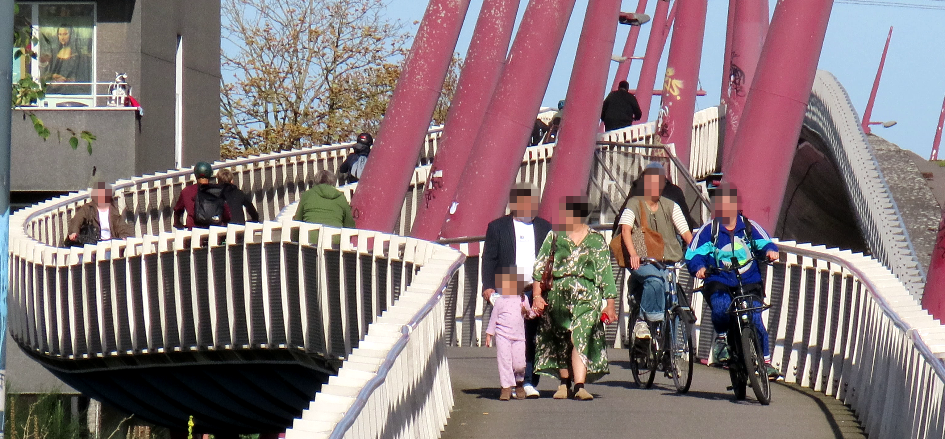 foto die de drukte op het fietspad laat zien